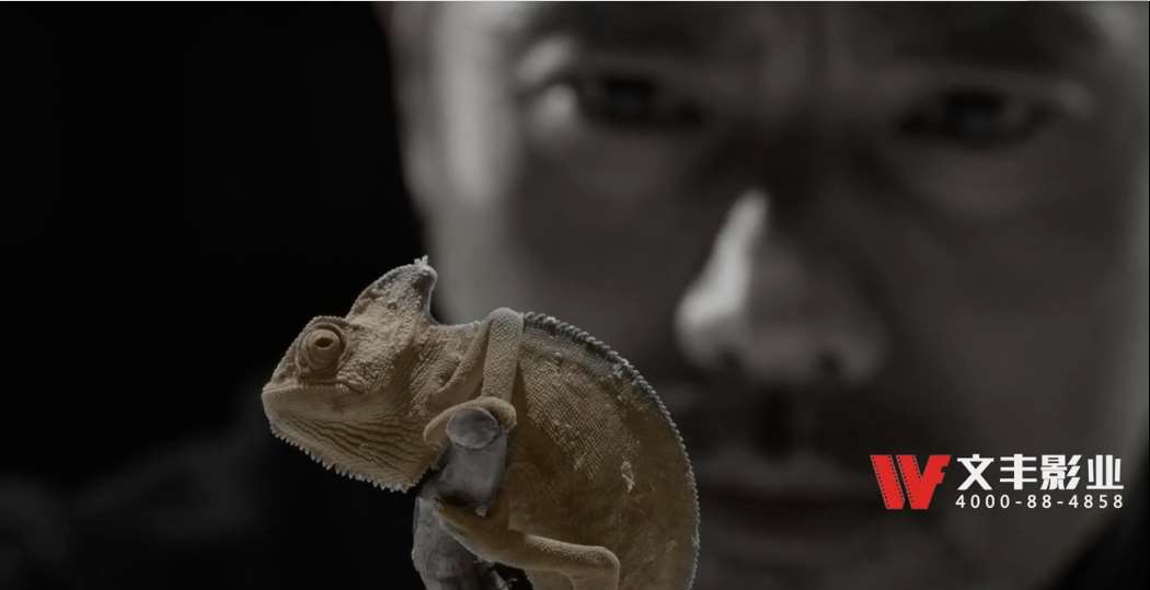 1-220506210609249.jpg 1-220506210609249.jpg