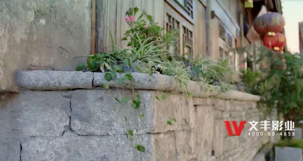 1-22061Q9521Q24.jpg 1-22061Q9521Q24.jpg