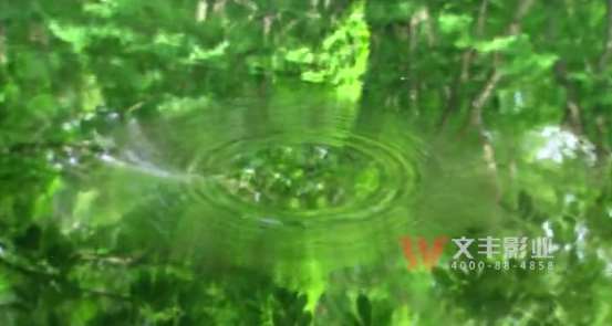 1-22112019225a53.jpg 1-22112019225a53.jpg