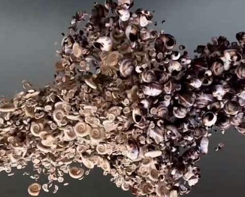 三维动画定制需要提供哪些素材？